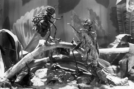 Les Fables de Starewitch