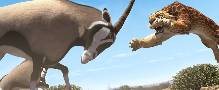 Khumba image 2