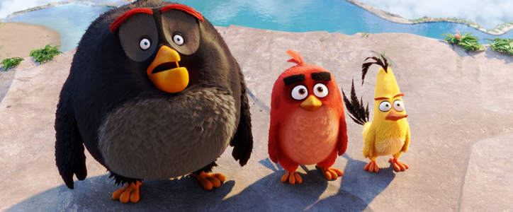 Angry Birds - Le Film image 3