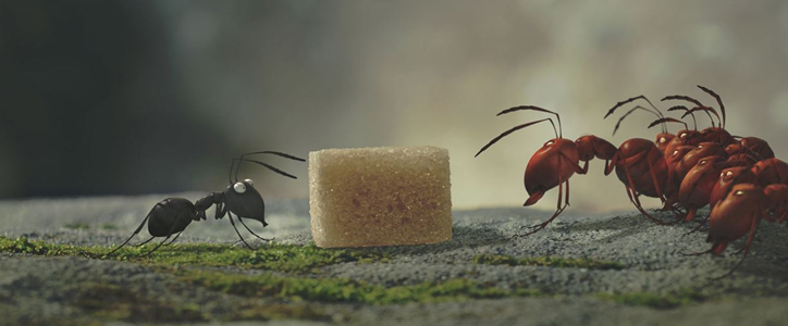 Minuscule : La Vallée des fourmis perdues image 4
