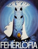 Le fils de la jument blanche