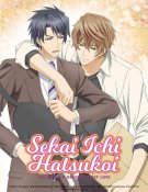 Sekai-ichi Hatsukoi - Film - Le Cas de Yokozawa + La Saint-Valentin