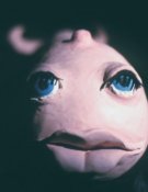 L'Eléphant et la baleine