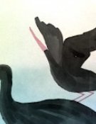 Au dodo ! Les Cigognes