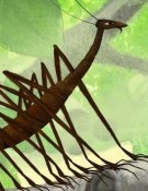 Mille Pattes et Crapaud