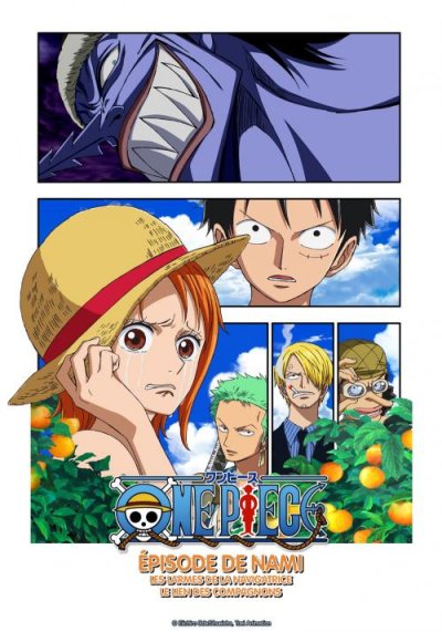 One Piece - Épisode de Nami