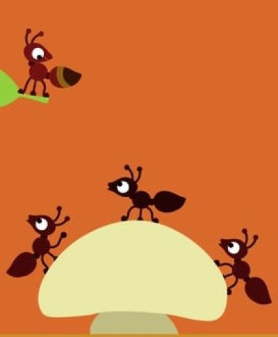 Animanimals Ant