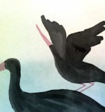 Au dodo ! Les Cigognes