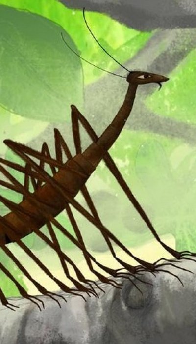 Mille Pattes et Crapaud