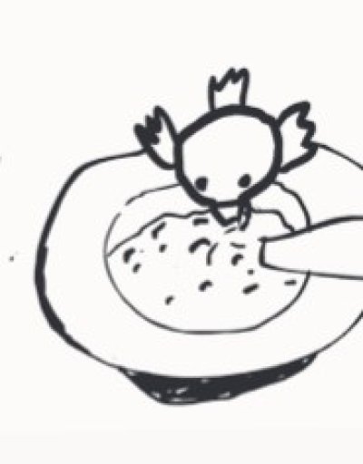 Pas facile d'être un moineau