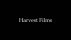 Harvest Films 